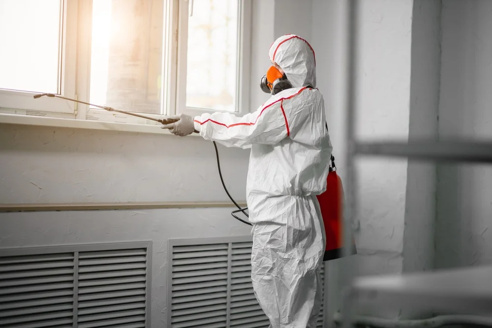 Professional mold remediation services in Decatur, GA